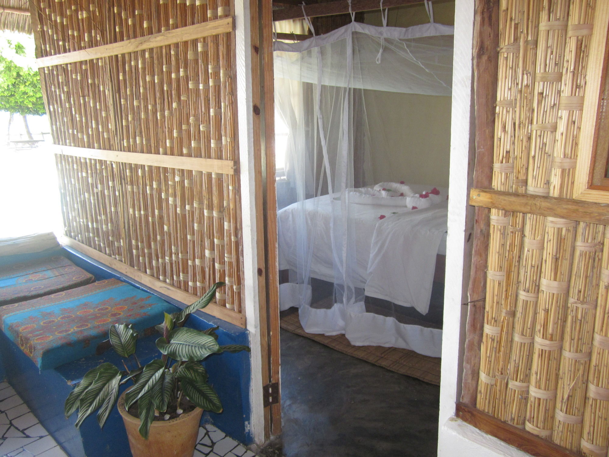 Baobab Beach Lodge And Backpackers Виланкулос Экстерьер фото