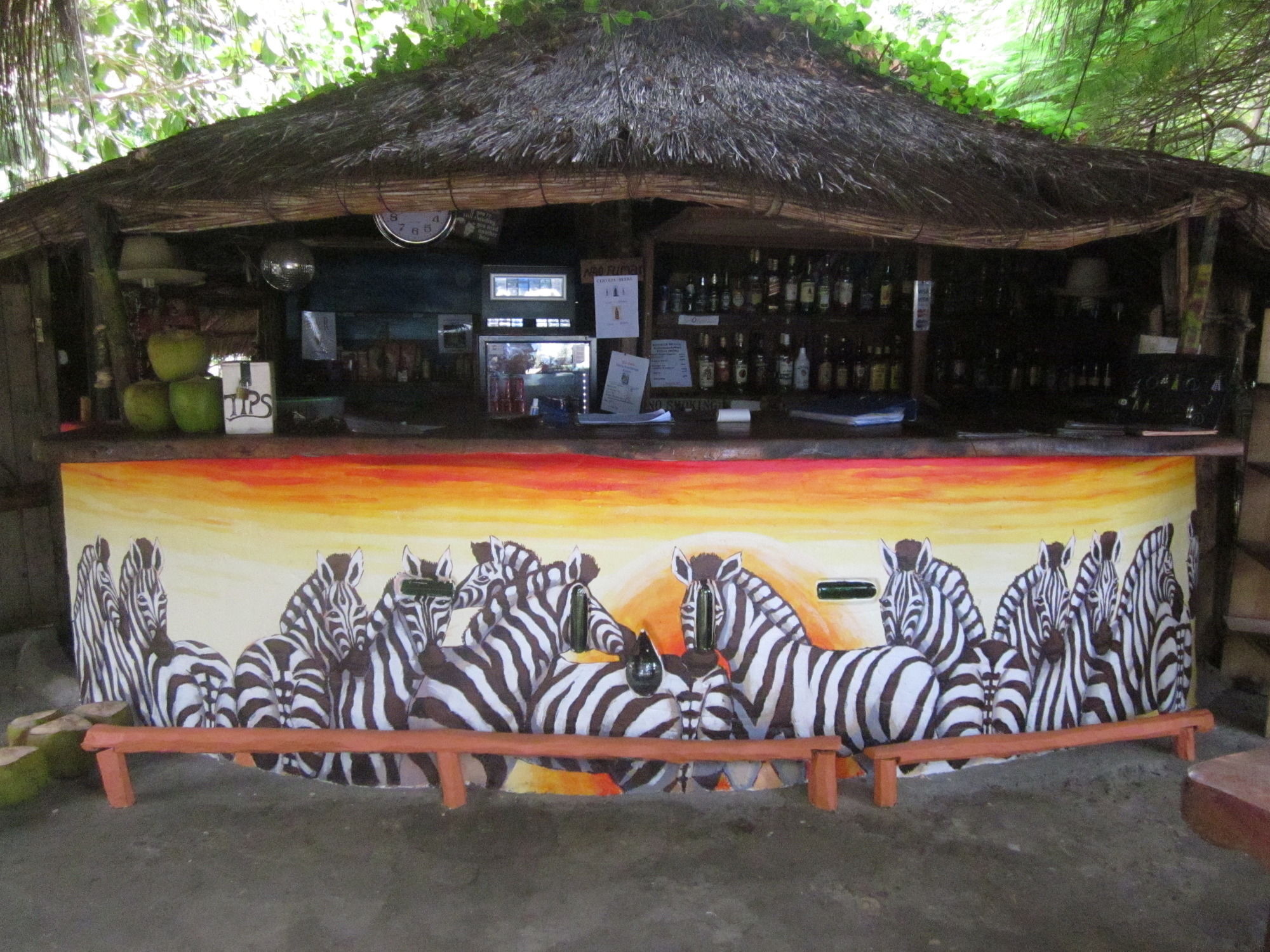 Baobab Beach Lodge And Backpackers Виланкулос Экстерьер фото