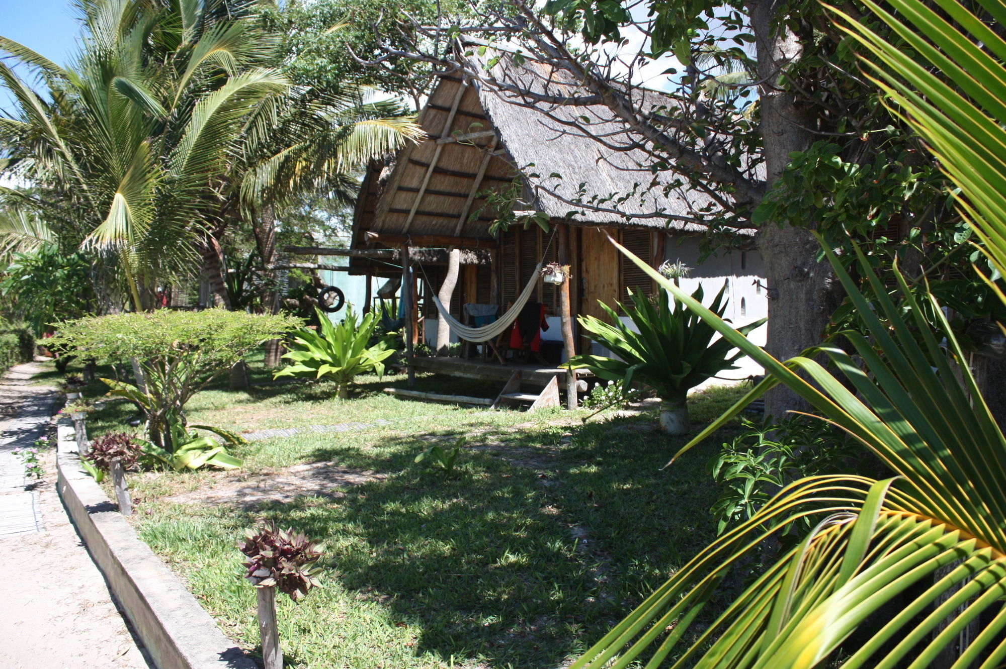 Baobab Beach Lodge And Backpackers Виланкулос Экстерьер фото
