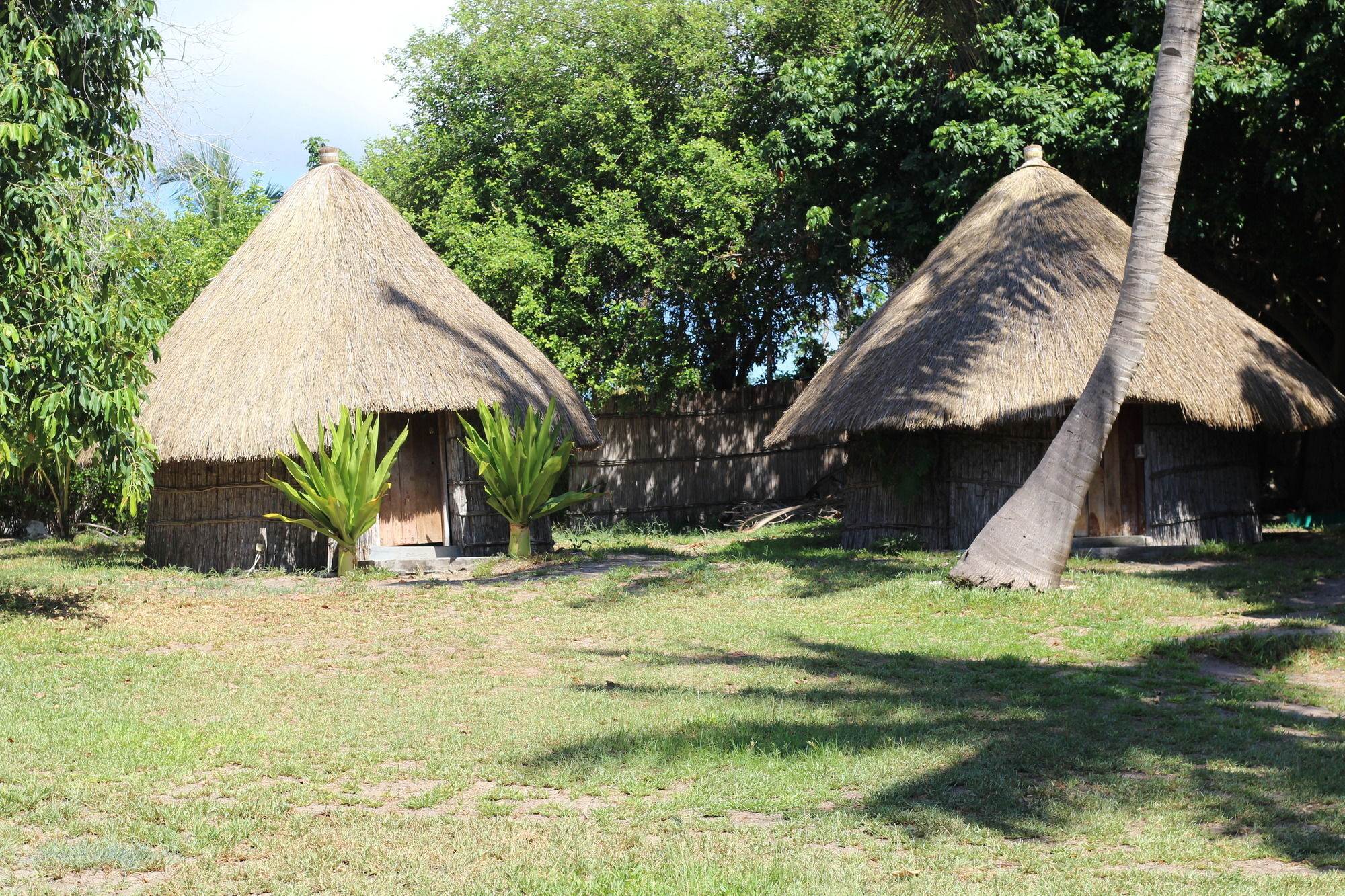 Baobab Beach Lodge And Backpackers Виланкулос Экстерьер фото